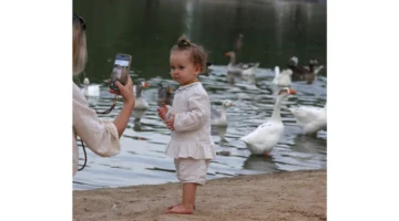 بحيرات القدرة تعزز فرص استدامة وردة في النظام البيئي المحلي